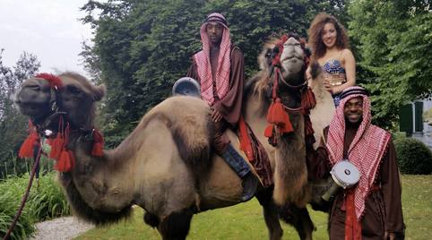 Dansgroep die gespecialiseerd is in themafeesten