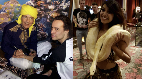 Slangen van optredens met slangen