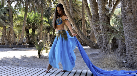 Slangenbezweerder voor partijen