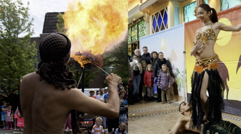 Slangenshow met prachtige tijgerpythons