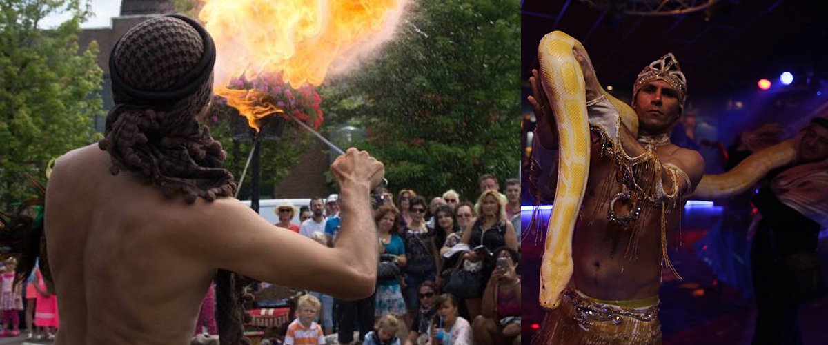 Dansgroep die gespecialiseerd is in themafeesten