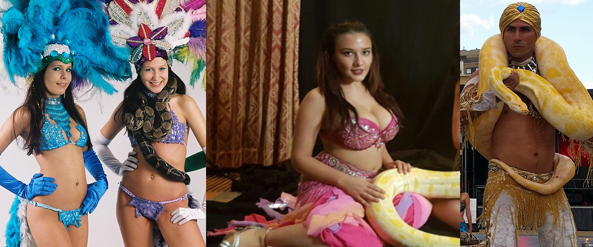 Gedurende de avond rondlopen met de slang