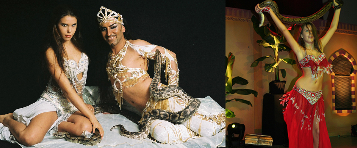 Grote slangen te huur