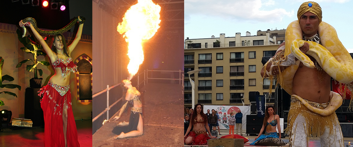 Slangenbezweerder bestellen