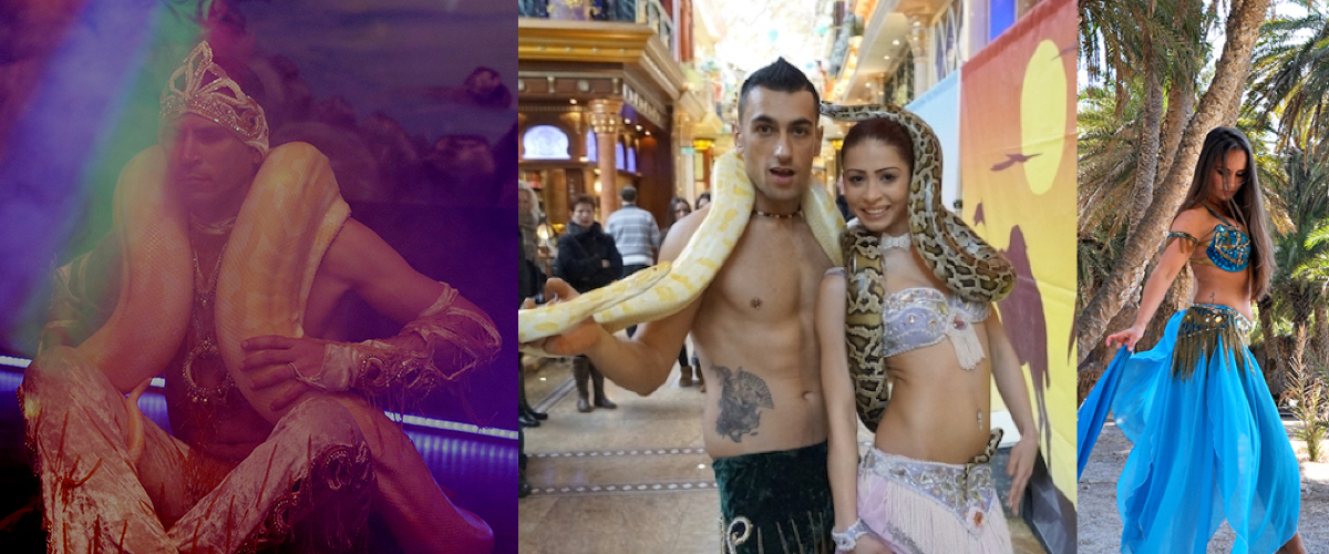 Slangenbezweerder voor partijen