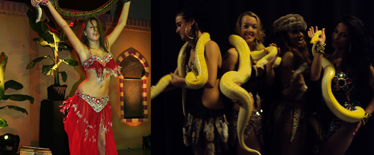 Slangenbezweerder waarzegster