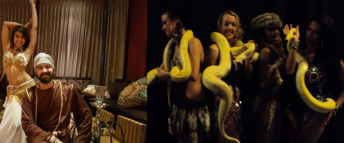 Slangenshow met prachtige tijgerpythons